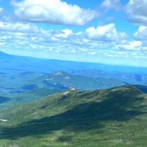 Meet your Posher, Springkloset